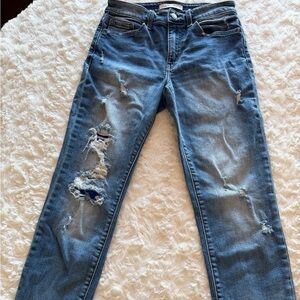 Classic Blue Distressed Skinny Jeans
